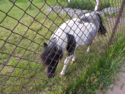 56b3580e-eb18-439f-9e9e-0e4ca303ad33