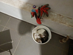 ad28d920-b6f4-4806-a1dc-1570e5f8d4b8