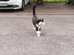 56ea22d0-9388-4d25-a3fe-5023d9259ac2