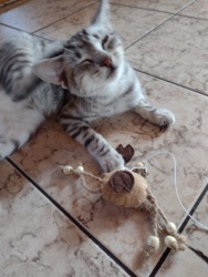 fbb9c160-88b6-4352-8b9c-2e8d1d0b84f4