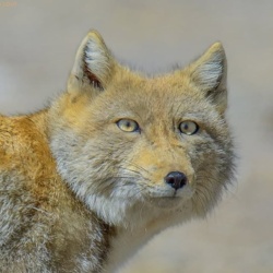 f8309d43-c6ed-4666-bef2-6c1f50707483