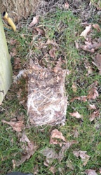 90b0b6c5-3d1c-4e24-89b6-0ec7e99c4090