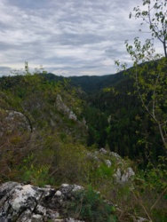 c2b989cc-ca03-4b2d-88ab-755161dbf6e1