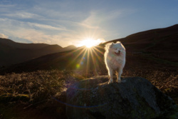 2cf5e82a-76c9-4611-91e5-27ef73d245e0