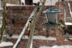 b289284d-07e7-414f-9fed-edd4691002a1