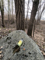 0b33e778-bbdd-4d5a-b6c8-bc8697951ff1