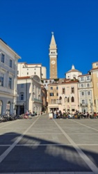 1fc53f95-14ac-4924-9859-83eb8b72942f