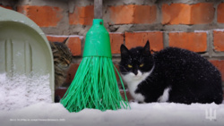 ef0e4fd5-2470-43c4-87b9-f978e5790c98