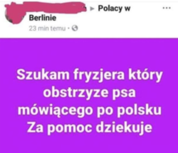 ab8e6a1c-290e-49d6-9ae3-a8d603332795