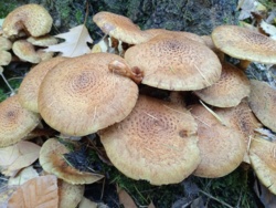 08b2ec74-1e16-4cb1-97f3-d5692b93ff80