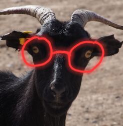 4b442845-358e-4bb5-8e94-3dd26002453f