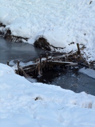 7b59ca83-ce70-47e0-b35d-dbb4bc5ee6a9