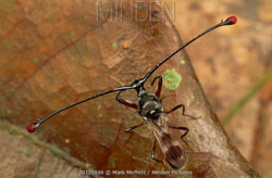 dfd13f7d-c450-47c6-891c-250f73c93a7c