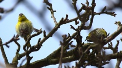 c5328732-1a65-4356-858b-c2cf676338f7