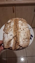 498d8651-7335-49c3-8a36-cdf2d5dae306