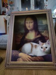 da46fc9c-c307-4138-8efc-77ce5009f655