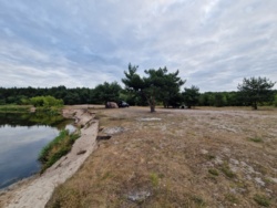 6a8ba7ee-2fd7-416f-ba20-cc266c46fe4c