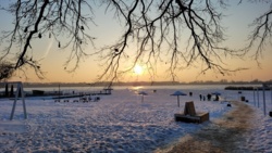 d2fb92f3-a3ed-44db-8023-7d3ca62a2b19