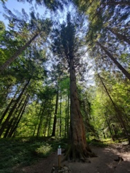 9aeb2d88-3895-4e49-ad1c-3b90e6e17508