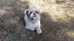 c22f43c7-baf7-42e6-a085-223dbf329308