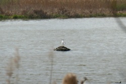 ce777e86-800e-4456-9713-034aae4857ba