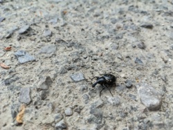 68c8e3ed-15f0-4e68-a8e3-5ac096baa97d