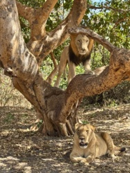 df928f8c-674c-4516-84a0-b3e5aa908e21