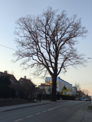 36f9e35c-0044-45ae-bfa6-28a0f8aa97f7