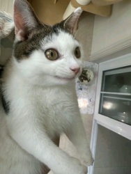 17acb082-5df4-4b95-b0e0-0e6c5586c8c7