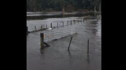 Nowa Zelandia: W dwa dni tyle deszczu co w miesiąc. Powodzie