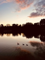 b607ea92-0fd5-44c4-a1f7-7d5b63f6e436