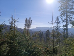 8aa1b09c-586e-48fe-a1fa-f0ad9eb19bbf