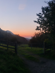 dcaaa3cf-e881-41f1-9f0b-9203b2991995