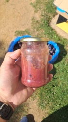 4c5fe5a9-b748-4033-a97a-2a2d0cd0206c