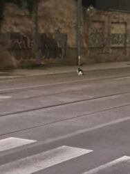 1d7691b1-1804-4e0d-bdd7-b0a46badc424