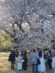 f92010ab-d332-426e-8b04-044bdbeeccf3