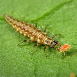 e10be5e6-d0f9-45a6-83bc-48dffd1916bd