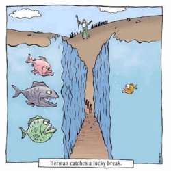 42e23cf4-3030-447a-b945-71aebf7dc117