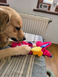 b4be1d62-839a-412b-a833-565e80e2de11