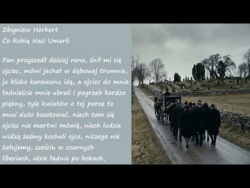 Co Robią Nasi Umarli Zbigniew Herbert Poezje Wiersze | Poezja Dla Duszy