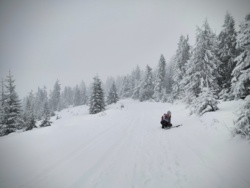 f4e5c28f-bfc7-4d74-bcce-f0dffbe0adbd