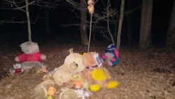 aacbba2c-907d-4e7f-8523-b50e98bea88f