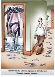 b2d51cb3-d6b1-49d5-808d-3f9383a3ab6b