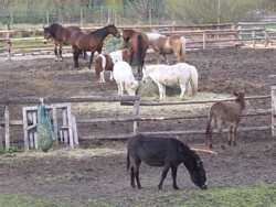 e2b58617-1ab2-4c33-af68-df46d56d83ac