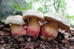 44f63fea-bef9-4843-a6b8-63cb08524323