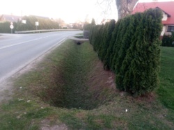 e9843a49-8c56-4ec8-b426-713ee8827d21