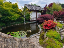 99bb89aa-3a3c-46a3-90cc-37ee1a3b0429