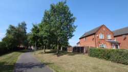 77660315-714f-4d02-a8e5-0fa415b237e0