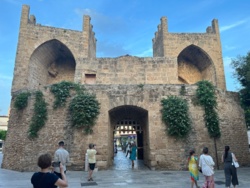 75dfc916-6f54-4bd9-98b6-3d263926e5b0