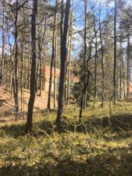 3ffcb3fd-fa64-448e-859c-ca96b981bfe8